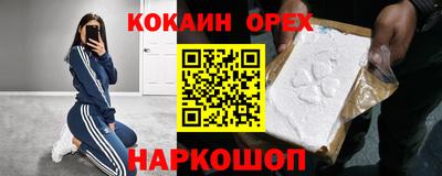 гидра Будённовск