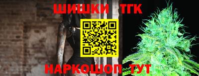 гидра Будённовск
