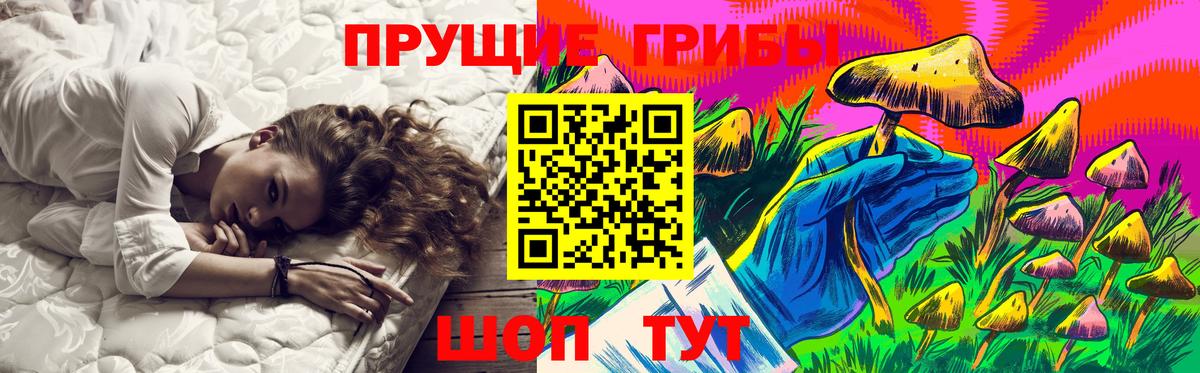 даркнет сайт  Вход с VPN  Саратов  Галлюциногенные грибы Cubensis  Галлюциногенные грибы GOLDEN TEACHER 