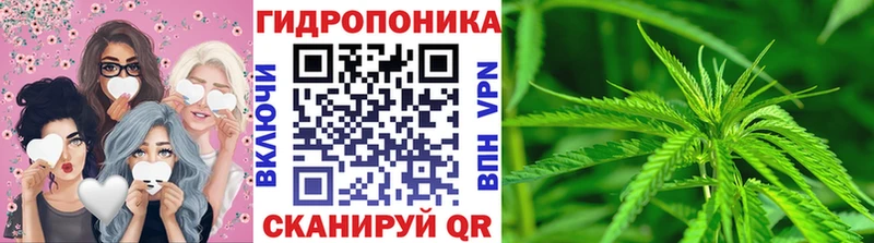 Бошки марихуана Amnesia  как найти закладки  дарк нет официальный сайт  Саратов 